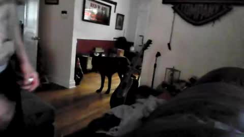 bigdickdaddy7201979564868 online show from May 24, 2026, 9:42 pm