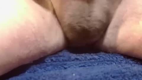 BigDog online show from February 10, 2025, 2:26 pm