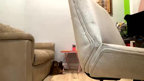 Snapshot of bigeddie88 chatting on September 23, 2025, 11:52 pm bigeddie88 online show from September 23, 2025, 11:52 pm