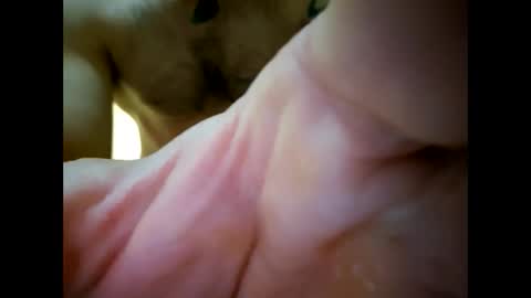 Snapshot of bigjoeyblow chatting on November 1, 2025, 6:37 am bigjoeyblow online show from November 1, 2025, 6:37 am