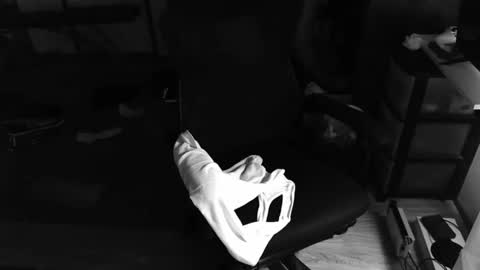 biglongt online show from November 9, 2025, 8:29 pm