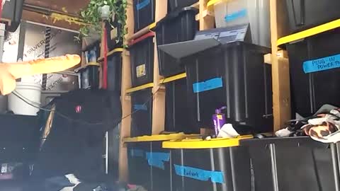 bigmanaround9 online show from December 15, 2025, 8:35 pm