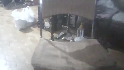 Snapshot of bigpenix chatting on February 7, 2026, 11:52 pm bigpenix online show from February 7, 2026, 11:52 pm