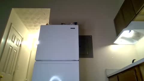 Snapshot of bigpussypump chatting on September 20, 2025, 4:24 am bigpussypump online show from September 20, 2025, 4:24 am