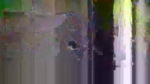Snapshot of bigsteppa2027 chatting on October 20, 2025, 4:13 am bigsteppa2027 online show from October 20, 2025, 4:13 am
