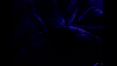 bigtgs online show from February 17, 2025, 6:37 pm