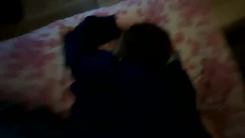 bigwhitecollegebull online show from November 19, 2025, 2:11 am