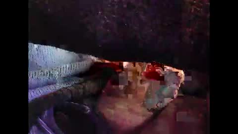 Snapshot of bilco03 chatting on October 29, 2025, 11:56 am bilco03 online show from October 29, 2025, 11:56 am