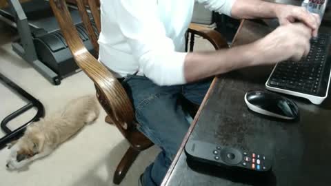 billy471 online show from December 3, 2024, 12:02 am