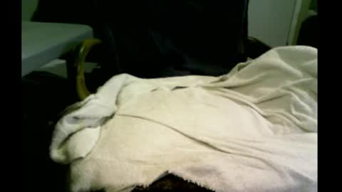 Snapshot of bimale4hotphuk chatting on February 20, 2025, 9:44 am bimale4hotphuk online show from February 20, 2025, 9:44 am