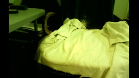 Snapshot of bimale4hotphuk chatting on February 21, 2025, 7:45 am bimale4hotphuk online show from February 21, 2025, 7:45 am