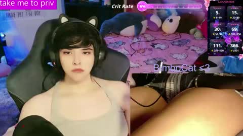 BimboCat online show from February 3, 2026, 1:26 am