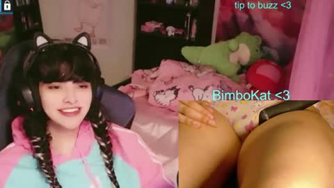 BimboCat online show from July 7, 2026, 8:24 pm