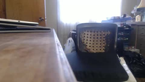 Bimbttm online show from December 19, 2024, 5:50 pm