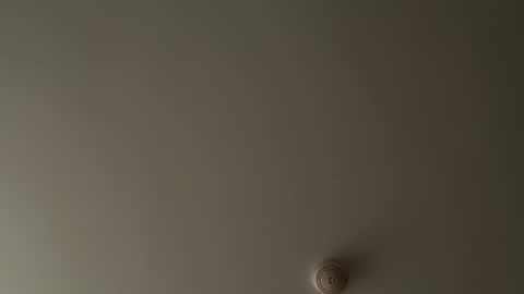 Snapshot of bithereum_sky chatting on November 12, 2025, 8:08 pm bithereum_sky online show from November 12, 2025, 8:08 pm