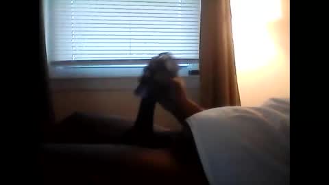 Snapshot of bkbornny chatting on January 6, 2025, 7:45 pm sugadaddy online show from January 6, 2025, 7:45 pm