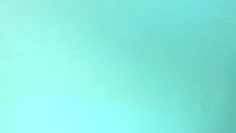 maquina online show from October 14, 2025, 8:04 am