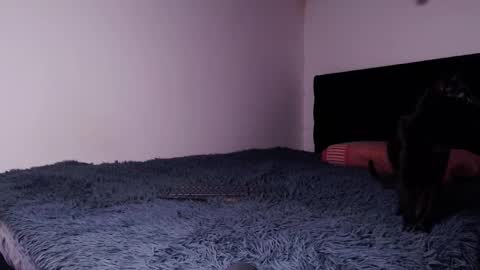 black_firex online show from October 6, 2025, 4:59 pm