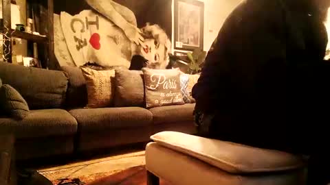 Snapshot of blackriches96 chatting on February 17, 2026, 3:58 am blackriches96 online show from February 17, 2026, 3:58 am