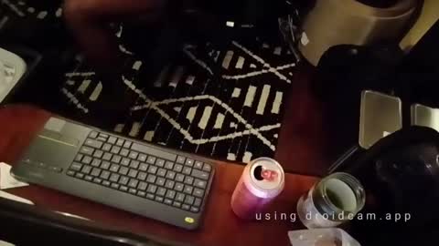 Blackjag00 online show from February 14, 2025, 5:41 am