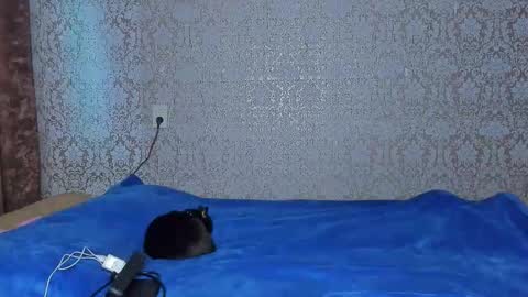 bloemetjes online show from October 7, 2025, 11:35 pm