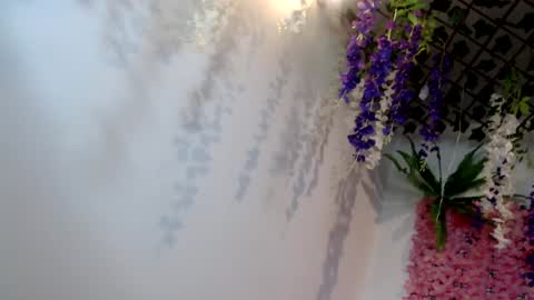Snapshot of blonde_squirt_ chatting on December 15, 2024, 11:45 am blonde_squirt_ online show from December 15, 2024, 11:45 am