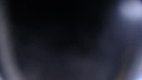 Snapshot of blue_morningstar chatting on October 12, 2025, 1:43 pm bunbury online show from October 12, 2025, 1:43 pm