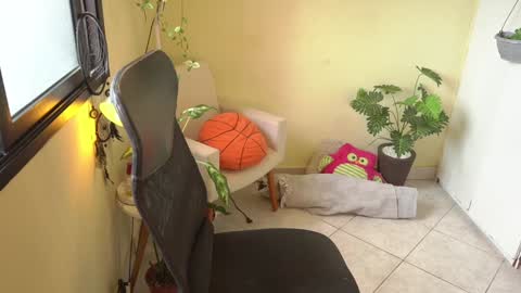 FLORAA online show from January 11, 2025, 1:22 pm