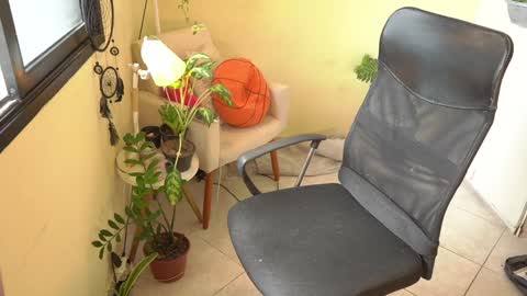 FLORAA online show from January 15, 2025, 4:43 pm