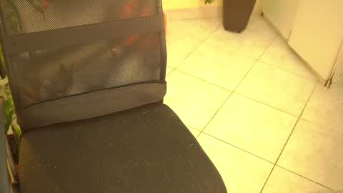 FLORAA online show from March 10, 2025, 6:27 am