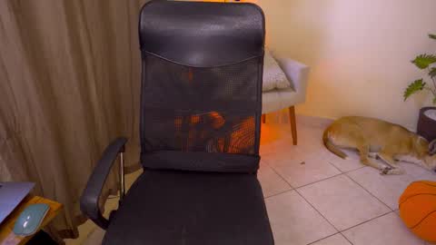 FLORAA online show from December 3, 2025, 1:53 pm