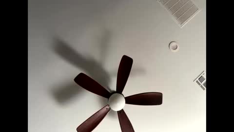 blueskyy56 online show from January 13, 2026, 5:40 pm