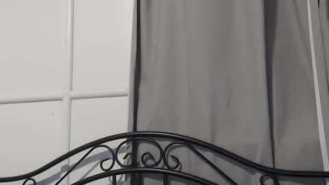 bob online show from December 15, 2024, 10:28 am