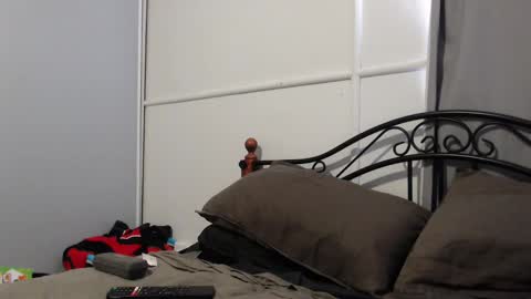 bob online show from February 7, 2025, 11:34 pm