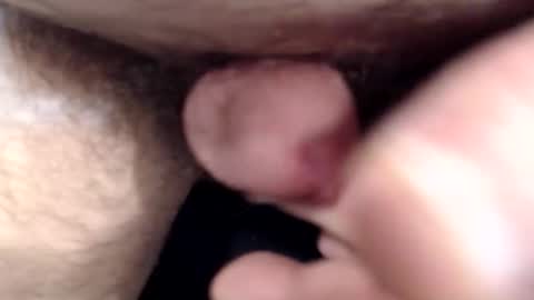 bobswan online show from March 15, 2026, 2:12 pm