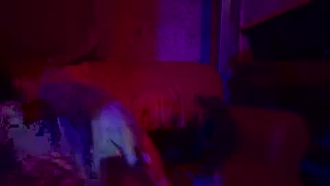 Sailorartemis online show from April 26, 2026, 6:49 pm