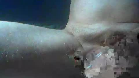 Snapshot of bogey58 chatting on October 15, 2025, 12:27 pm bogey58 online show from October 15, 2025, 12:27 pm