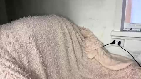 bohemia777 online show from April 7, 2026, 1:33 pm