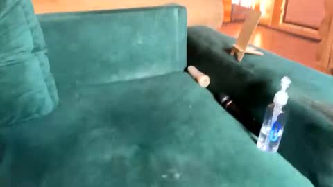 Snapshot of bohemianrhapsody1 chatting on October 8, 2025, 10:35 am Nail and Olivia online show from October 8, 2025, 10:35 am