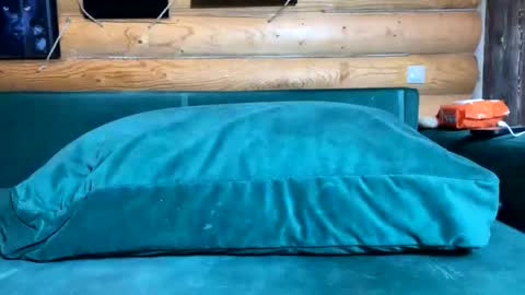 Snapshot of bohemianrhapsody1 chatting on November 14, 2025, 10:36 am Nail and Olivia online show from November 14, 2025, 10:36 am