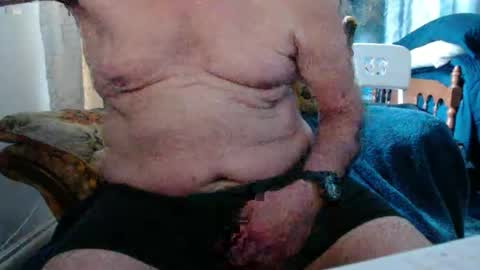 bolbil1 online show from March 17, 2026, 1:03 pm