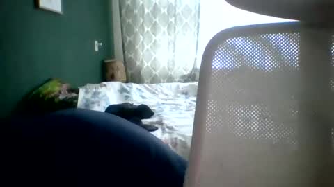 bomba8111 online show from January 20, 2025, 11:45 am