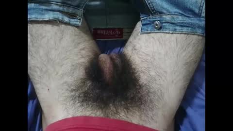 Snapshot of bomvemcam chatting on November 27, 2025, 1:24 pm Im Bom - Tip if You Liked my Hairy Body - Private Show is Open - Read more about me in the bio below online show from November 27, 2025, 1:24 pm
