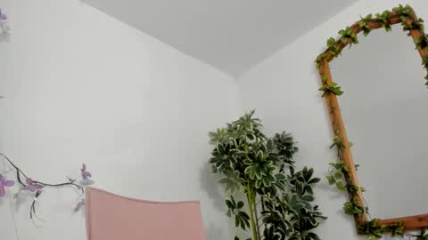   online show from October 14, 2025, 12:00 am