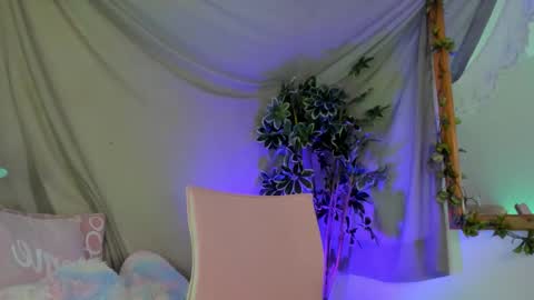   online show from November 22, 2025, 12:09 am