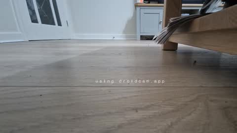 bonny8723 online show from January 13, 2026, 6:57 pm