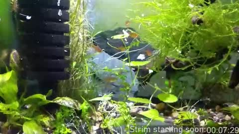 Booker Baxton online show from November 23, 2025, 4:01 am