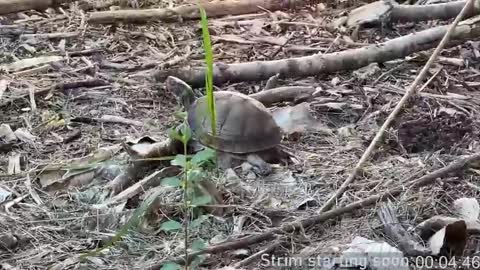 Booker Baxton online show from April 9, 2026, 3:06 am