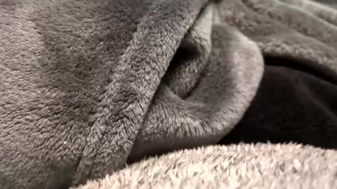 Snapshot of borderslad1101 chatting on November 23, 2025, 3:56 pm Borderslad1101 online show from November 23, 2025, 3:56 pm