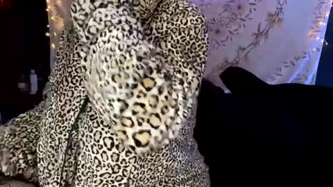 BossMom online show from December 13, 2024, 4:33 am